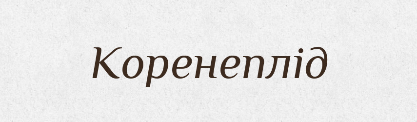 Коренеплід — Словник чужомовних слів і термінів