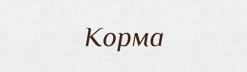 Корма — Словник чужомовних слів і термінів