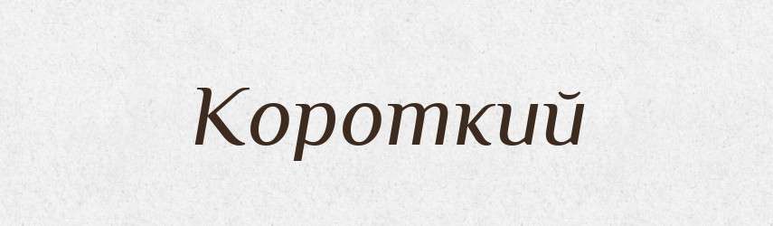 Короткий — Словник чужомовних слів і термінів