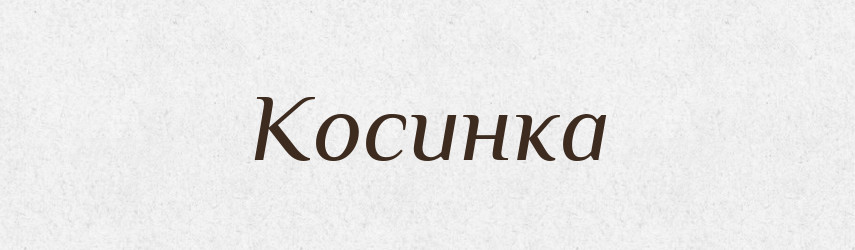Косинка — Словник чужомовних слів і термінів