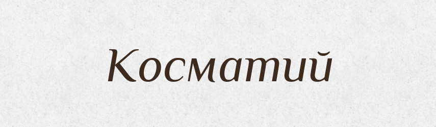 Косматий — Словник чужомовних слів і термінів