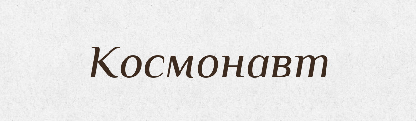 Космонавт — Словник чужомовних слів і термінів