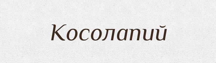 Косолапий — Словник чужомовних слів і термінів
