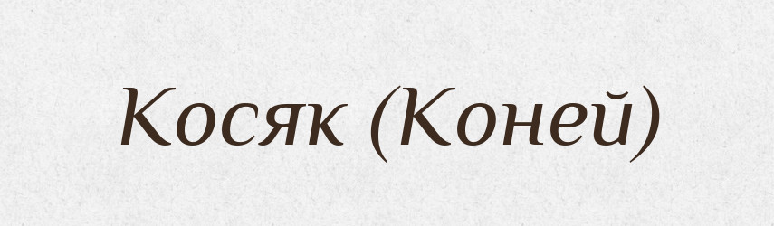 Косяк (Коней) — Словник чужомовних слів і термінів