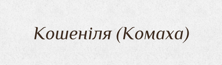 Кошеніля (Комаха) — Словник чужомовних слів і термінів