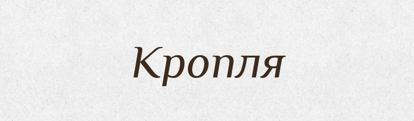 Кропля — Словник чужомовних слів і термінів
