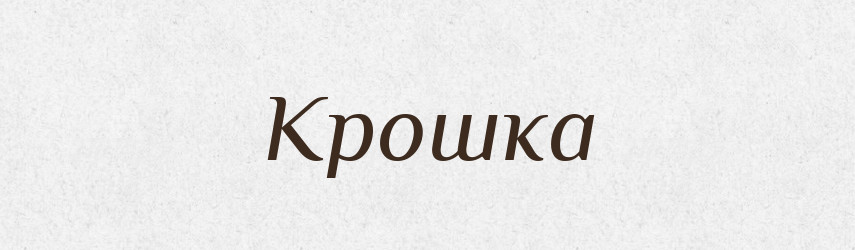 Крошка — Словник чужомовних слів і термінів