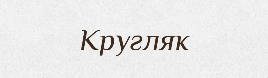 Кругляк — Словник чужомовних слів і термінів