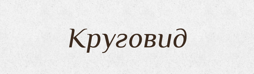 Круговид — Словник чужомовних слів і термінів