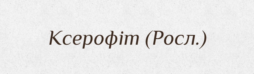 Ксерофіт (Росл.) — Словник чужомовних слів і термінів