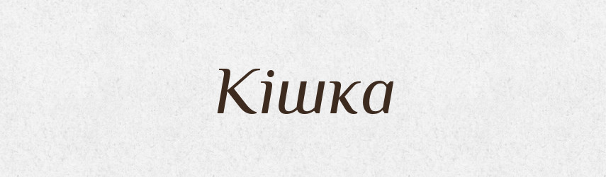 Кішка — Словник чужомовних слів і термінів