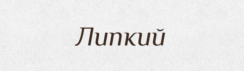 Липкий — Словник чужомовних слів і термінів