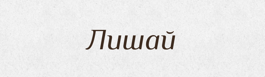Лишай — Словник чужомовних слів і термінів