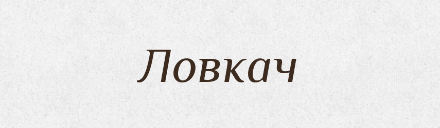 Ловкач — Словник чужомовних слів і термінів