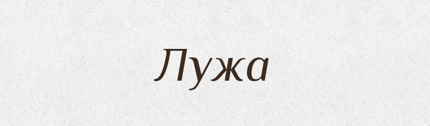 Лужа — Словник чужомовних слів і термінів