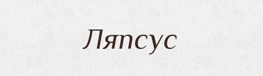 Ляпсус — Словник чужомовних слів і термінів