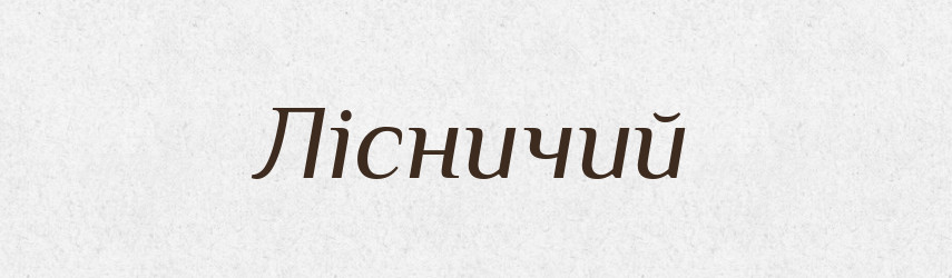 Лісничий — Словник чужомовних слів і термінів