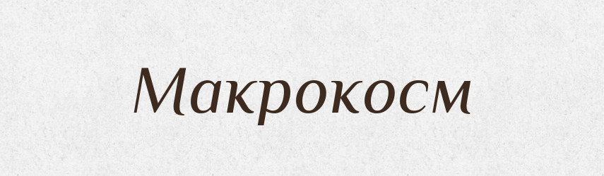 Макрокосм — Словник чужомовних слів і термінів
