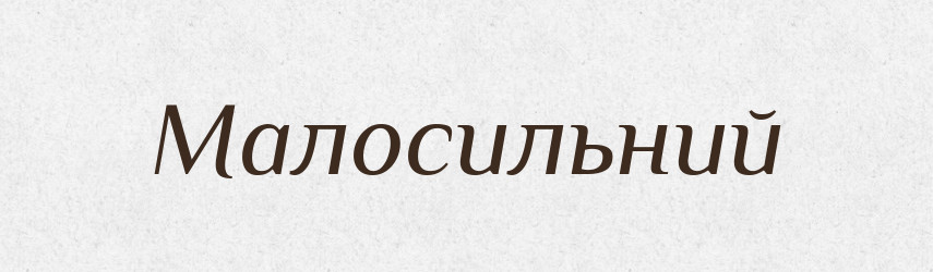 Малосильний — Словник чужомовних слів і термінів