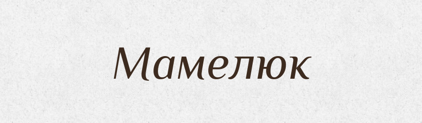 Мамелюк — Словник чужомовних слів і термінів