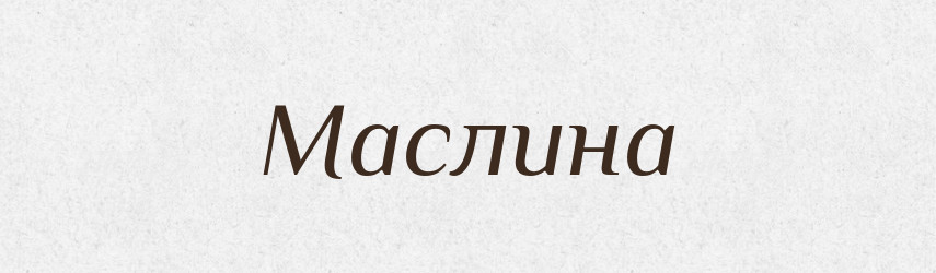 Маслина — Словник чужомовних слів і термінів