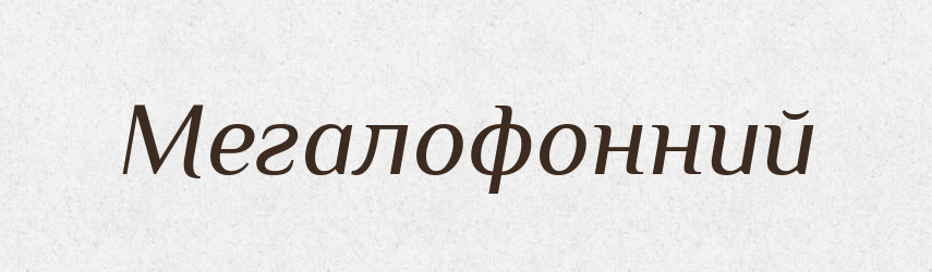 Мегалофонний — Словник чужомовних слів і термінів
