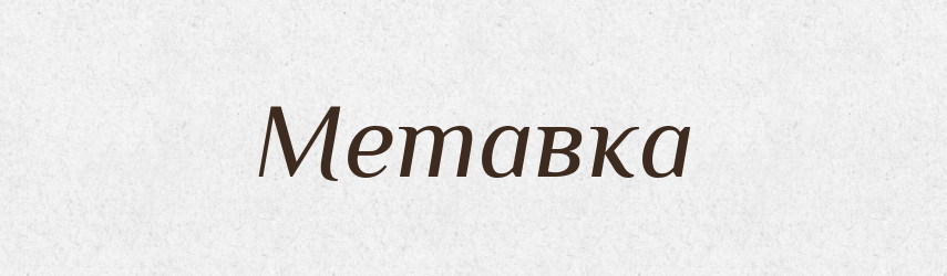 Метавка — Словник чужомовних слів і термінів