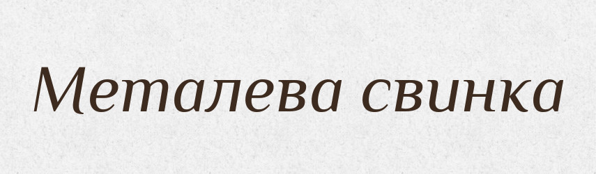 Металева свинка — Словник чужомовних слів і термінів