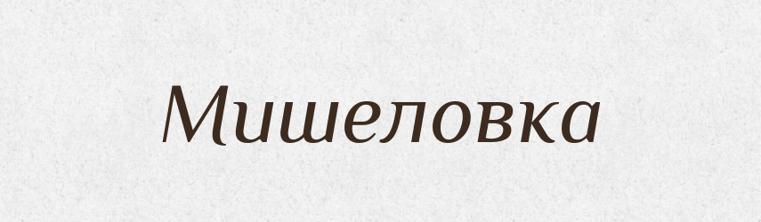 Мишеловка — Словник чужомовних слів і термінів