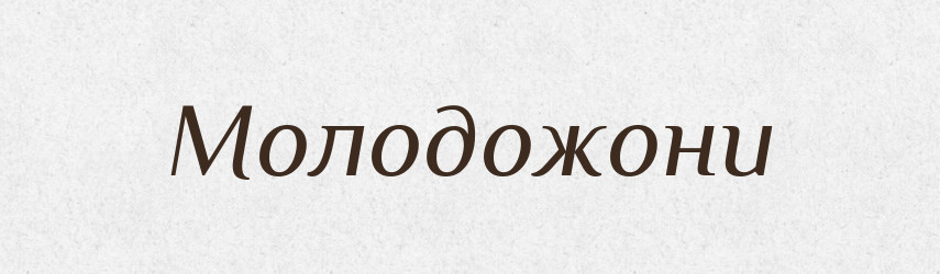 Молодожони — Словник чужомовних слів і термінів