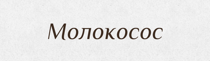 Молокосос — Словник чужомовних слів і термінів