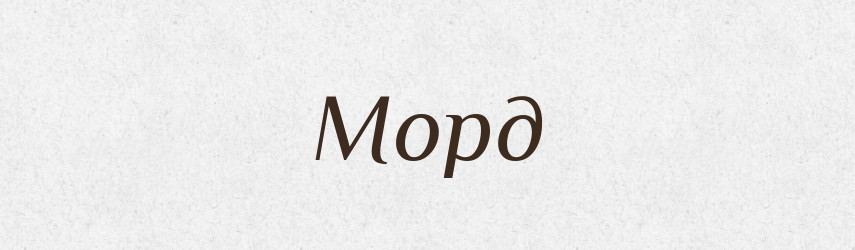 Морд — Словник чужомовних слів і термінів