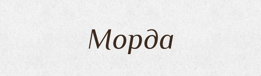 Морда — Словник чужомовних слів і термінів