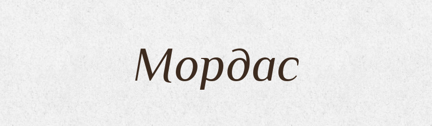 Мордас — Словник чужомовних слів і термінів
