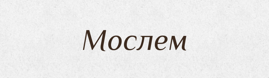 Мослем — Словник чужомовних слів і термінів