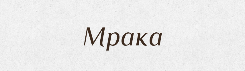 Мрака — Словник чужомовних слів і термінів