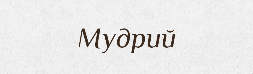 Мудрий — Словник чужомовних слів і термінів