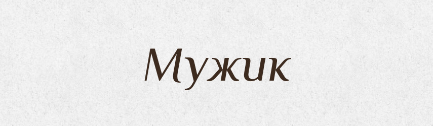 Мужик — Словник чужомовних слів і термінів