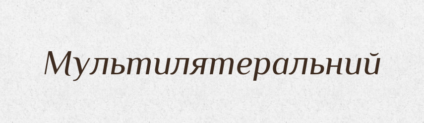 Мультилятеральний — Словник чужомовних слів і термінів