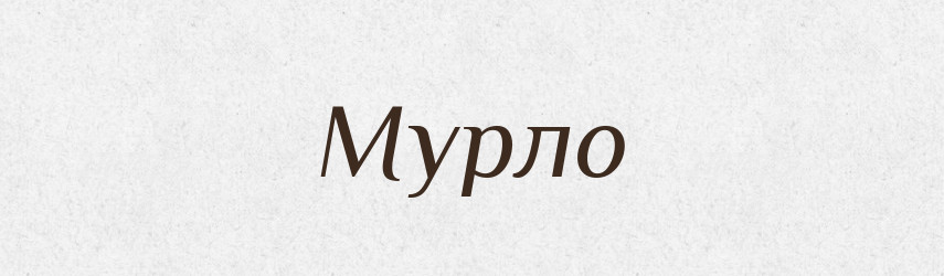 Мурло — Словник чужомовних слів і термінів