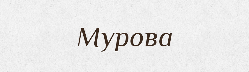 Мурова — Словник чужомовних слів і термінів
