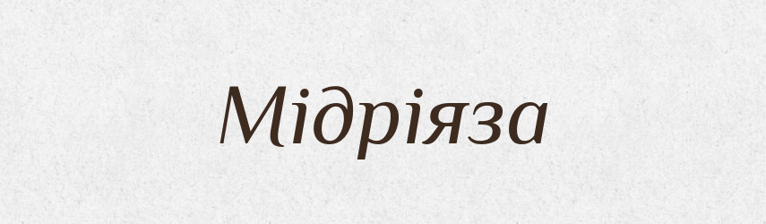 Мідріяза — Словник чужомовних слів і термінів