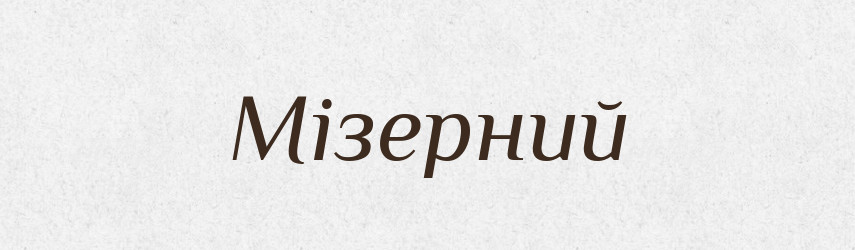Мізерний — Словник чужомовних слів і термінів