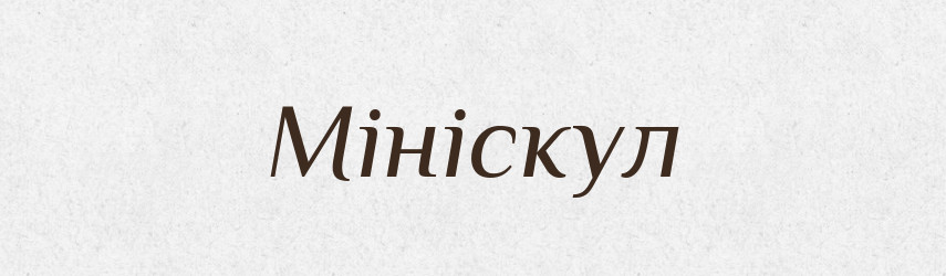 Мініскул — Словник чужомовних слів і термінів