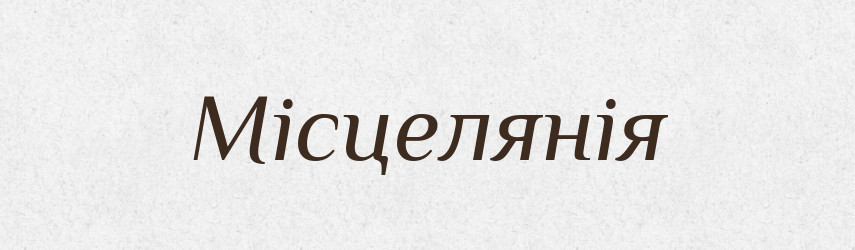 Місцелянія — Словник чужомовних слів і термінів