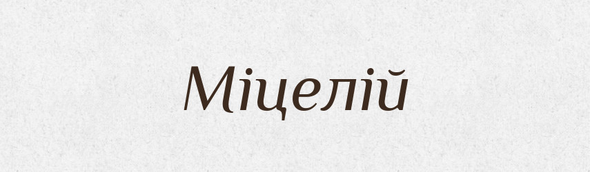 Міцелій — Словник чужомовних слів і термінів