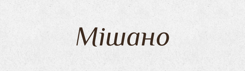 Мішано — Словник чужомовних слів і термінів