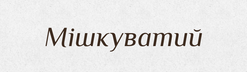 Мішкуватий — Словник чужомовних слів і термінів