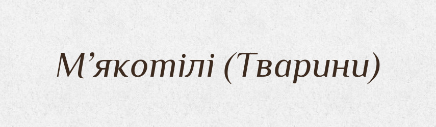 М’якотілі (Тварини) — Словник чужомовних слів і термінів