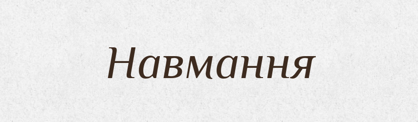 Навмання — Словник чужомовних слів і термінів